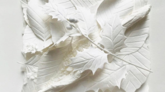 blaetterwerk_ilex