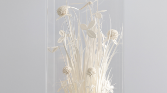 wiesentraum_libelle